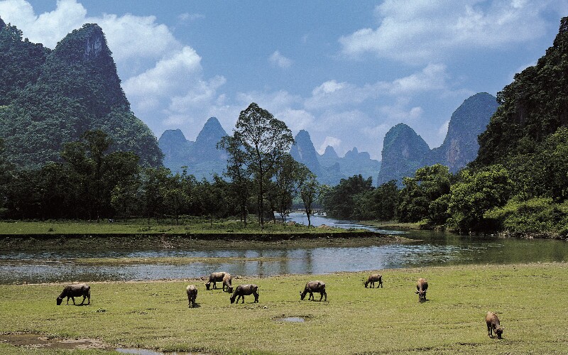  Guilin - A Scenic Town with a Vibrant History 